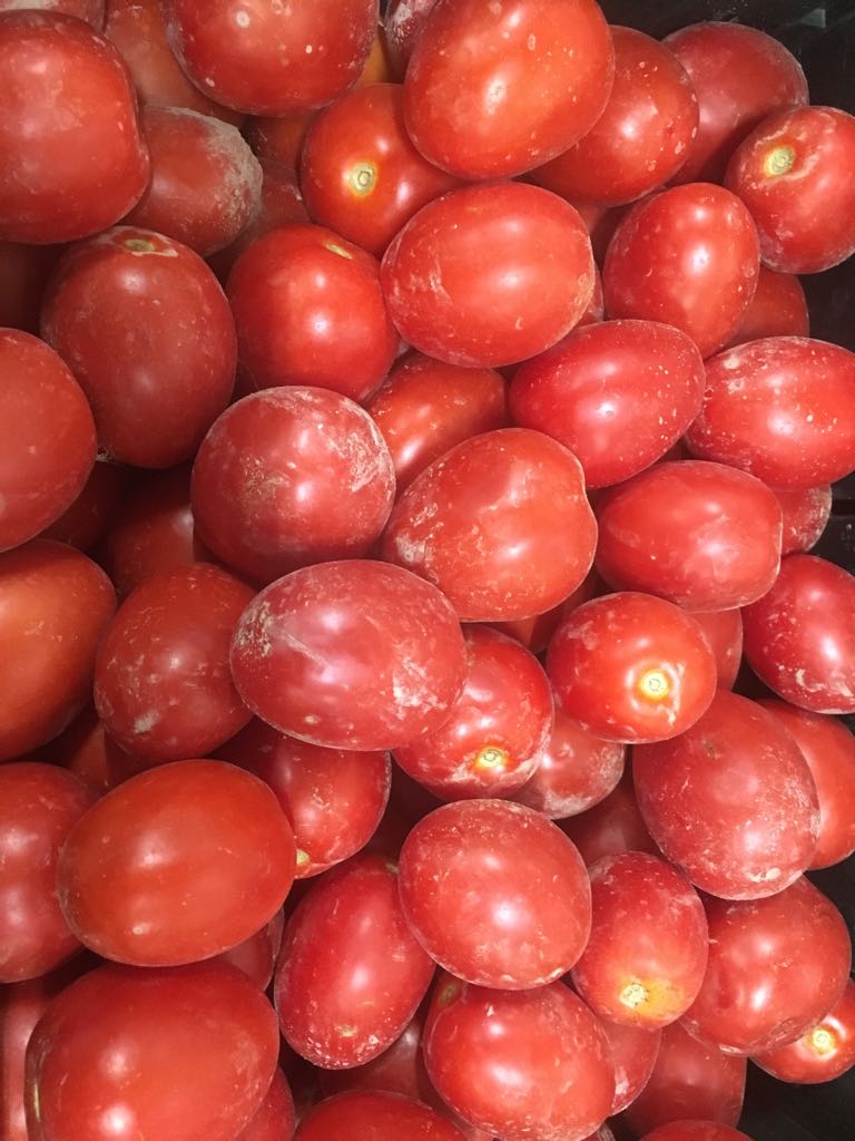 pomodoro da salsa 2 agosto 2018